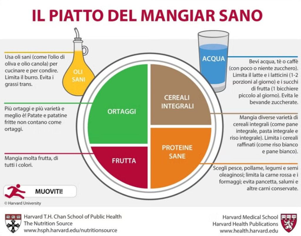 Il piatto del mangiar sano