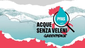 Pfas, la denuncia di Greenpeace: acqua potabile contaminata in tutta Italia